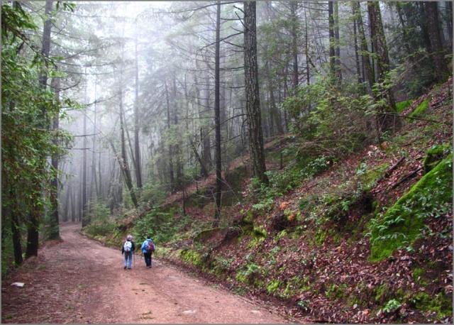 sm 110225.05 Las Posadas.jpg - Fire road going towards the 4H summer camp.